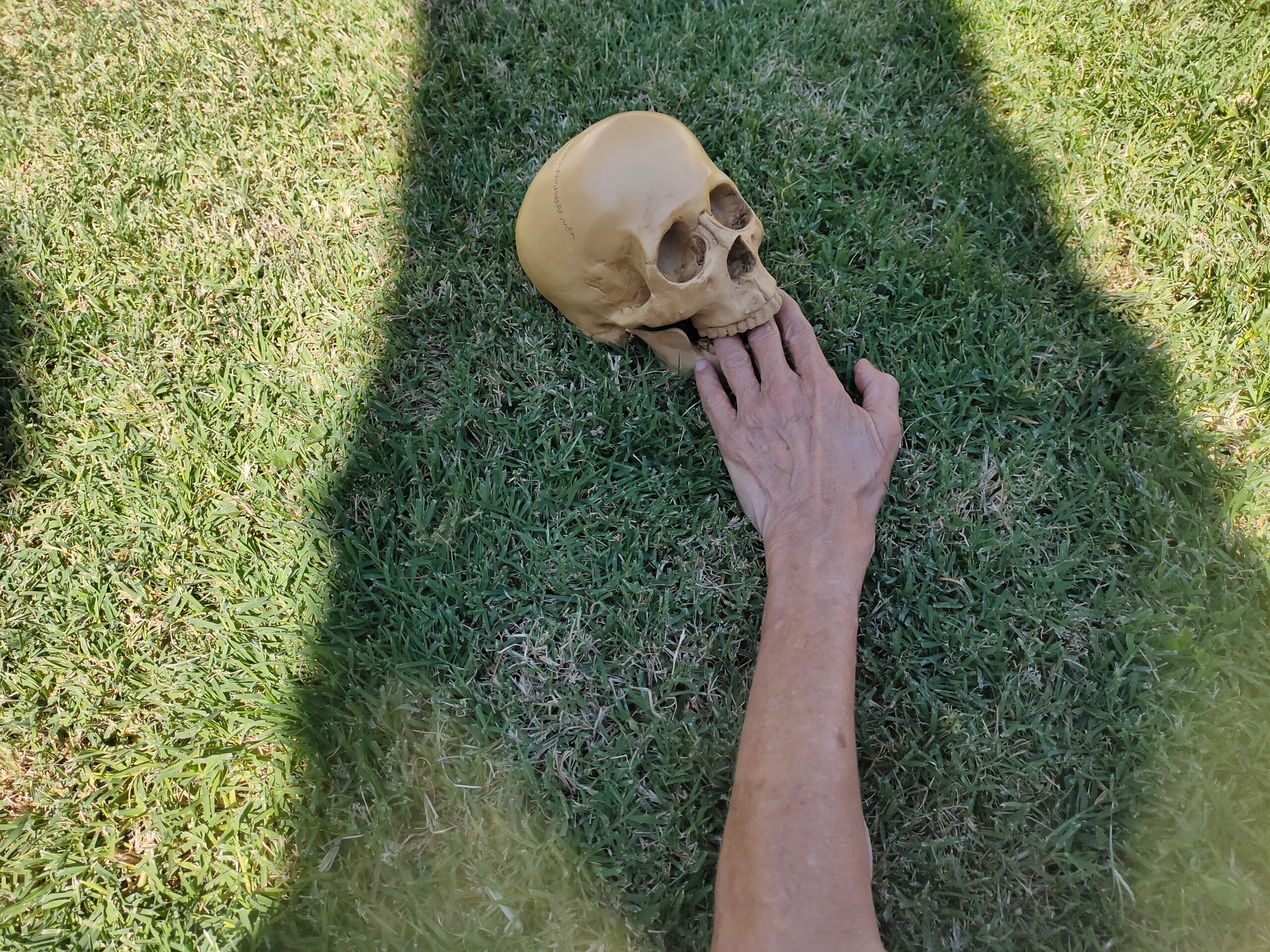 Cartel del evento «Instrucciones para mejorar la vida»